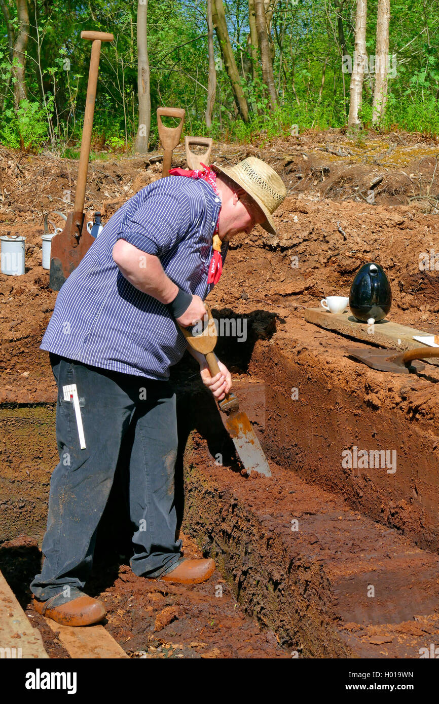 working peat cutter, Germany, Lower Saxony Stock Photo Alamy