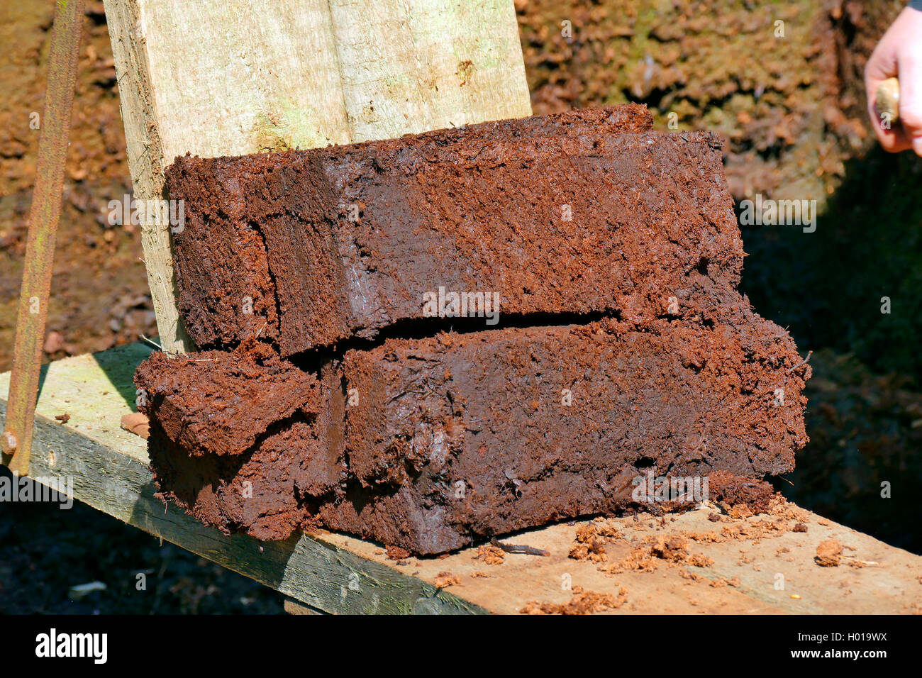 sod of peat, Germany, Lower Saxony Stock Photo