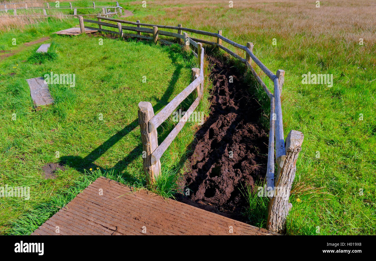 muddy path in moor for Kneipp cure, Germany, Lower Saxony, Huvenhoopsmoor Stock Photo