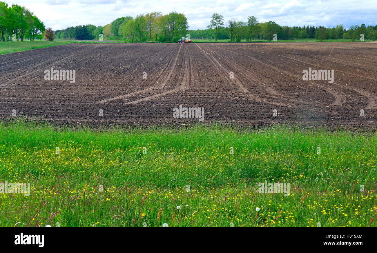 farmer working with tractor on an acre, Germany, Lower Saxony, Bremervoerde Stock Photo