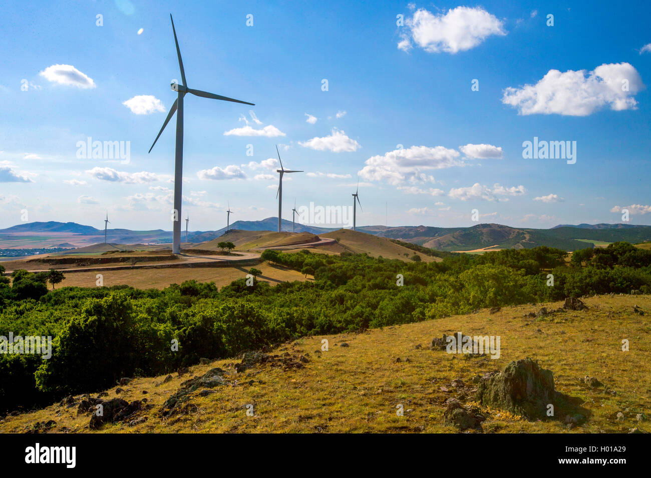 windfarn in hilly landscape, Romania Stock Photo