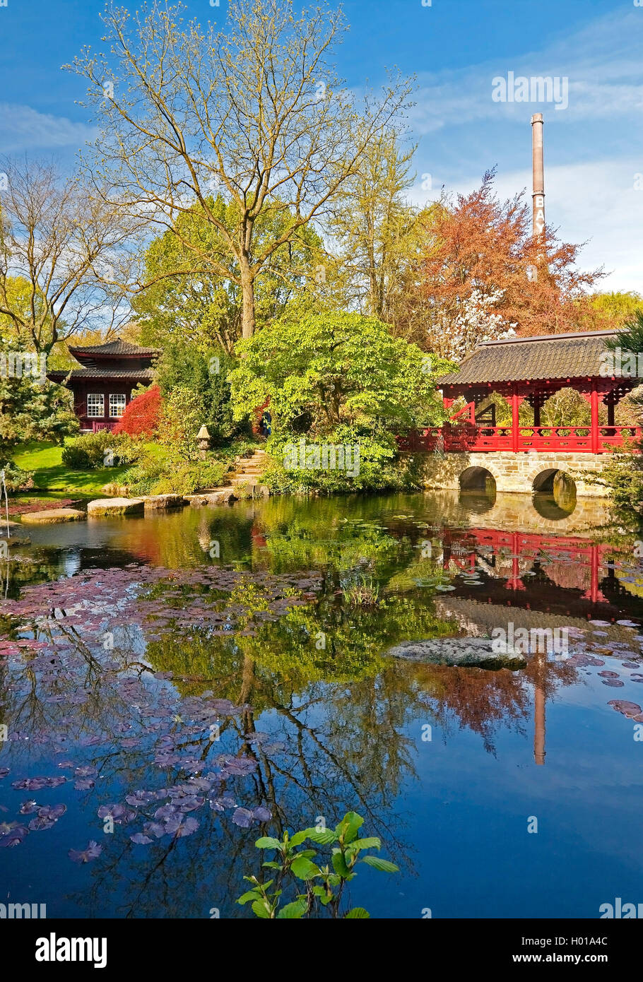 Japanese Garden Leverkusen In Spring With Chimney Of Bayer