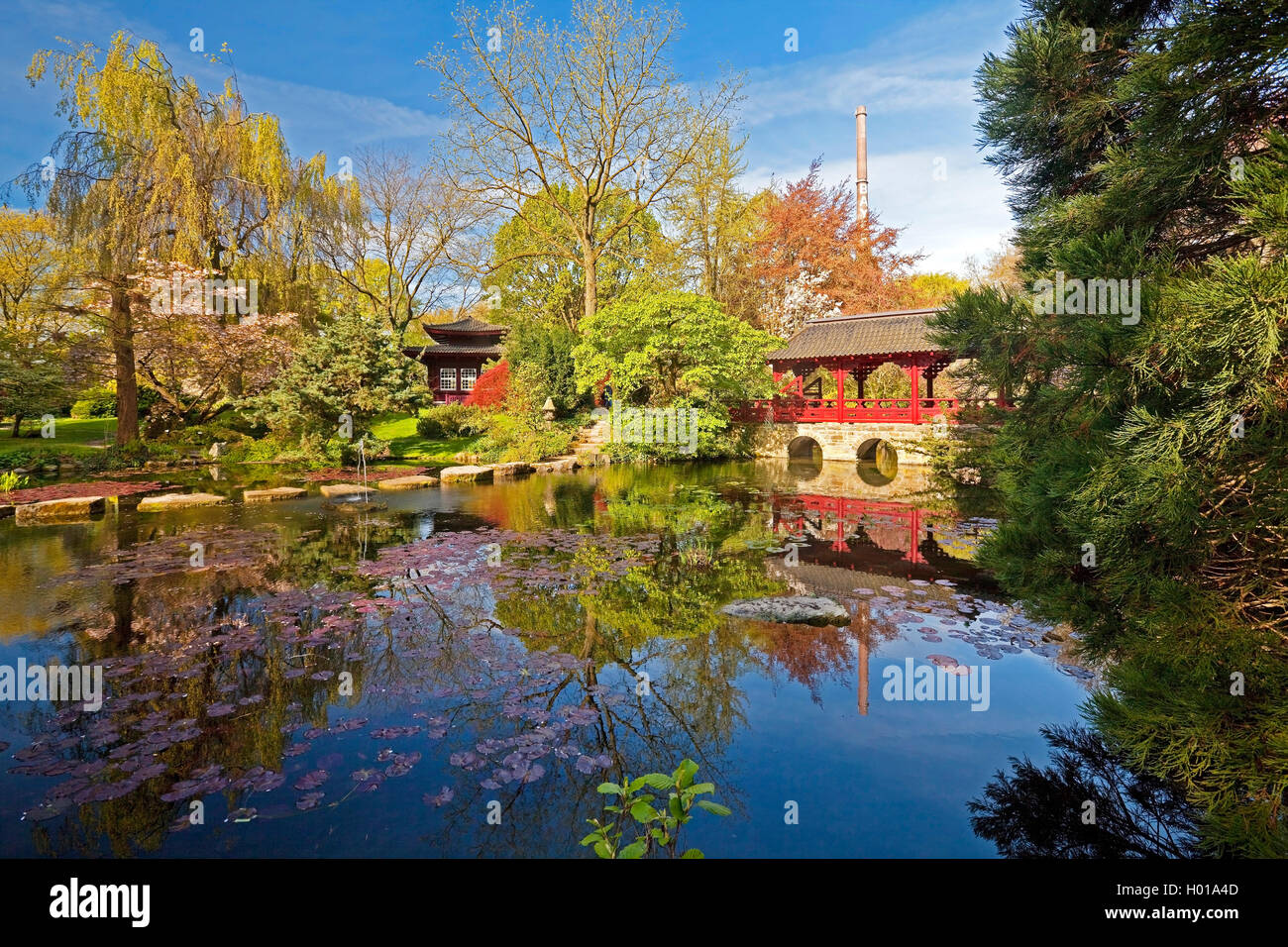 Japanese Garden Leverkusen In Spring With Chimney Of Bayer