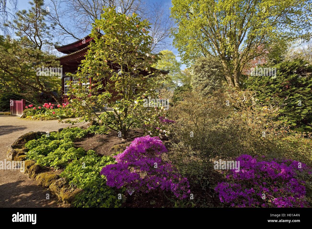 Page 3 Leverkusen High Resolution Stock Photography And Images Alamy