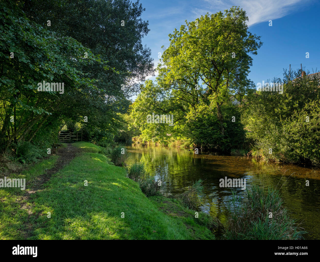 River Barle, Withypool, Exmoor National Park, Somerset, UK Stock Photo