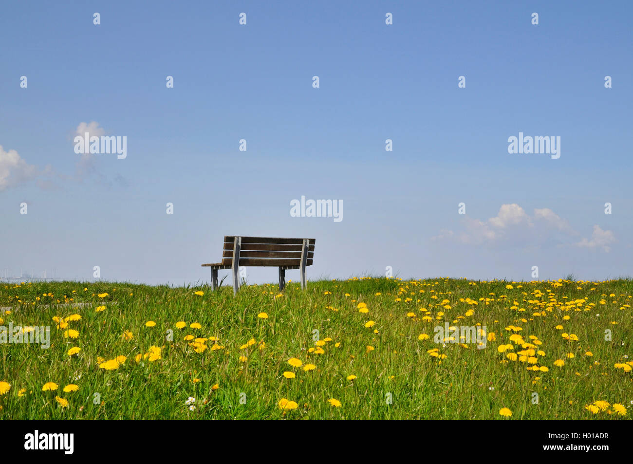 lonesome bench on the dyke, Germany, Lower Saxony, East Frisia, Campen Stock Photo
