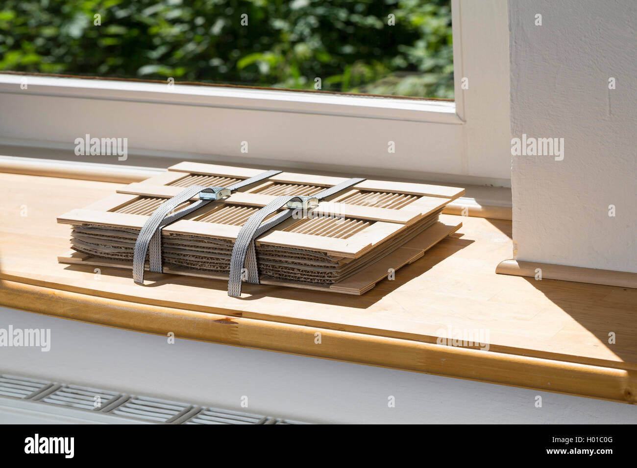 herbarium press lying in the sun on a window sill over the heater, Germany Stock Photo