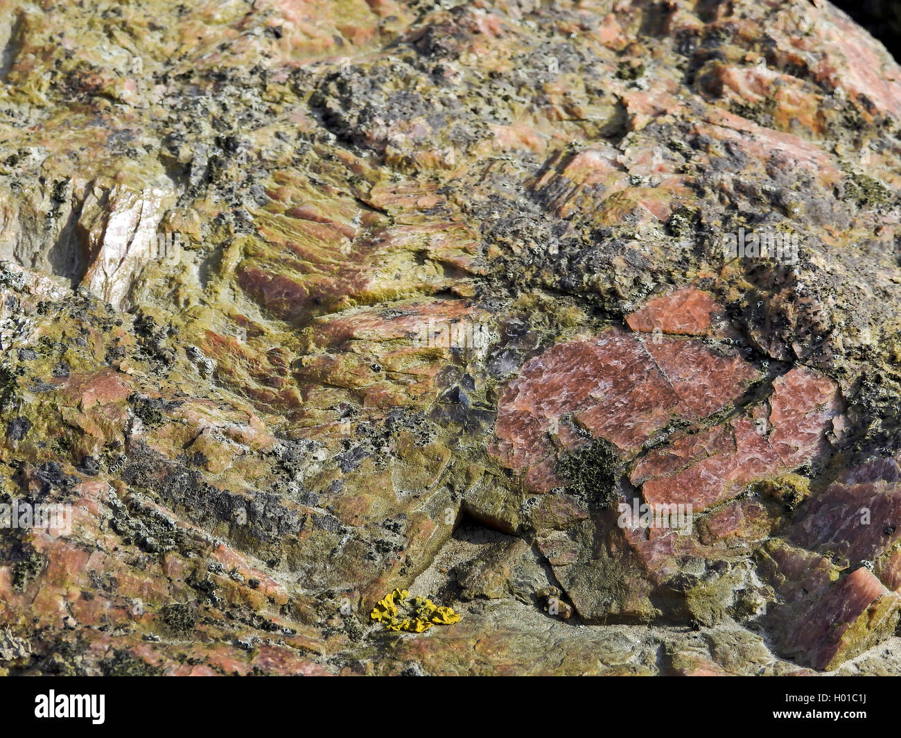 coarse granite, Germany, Schleswig-Holstein, Northern Frisia, Hallig Hooge Stock Photo