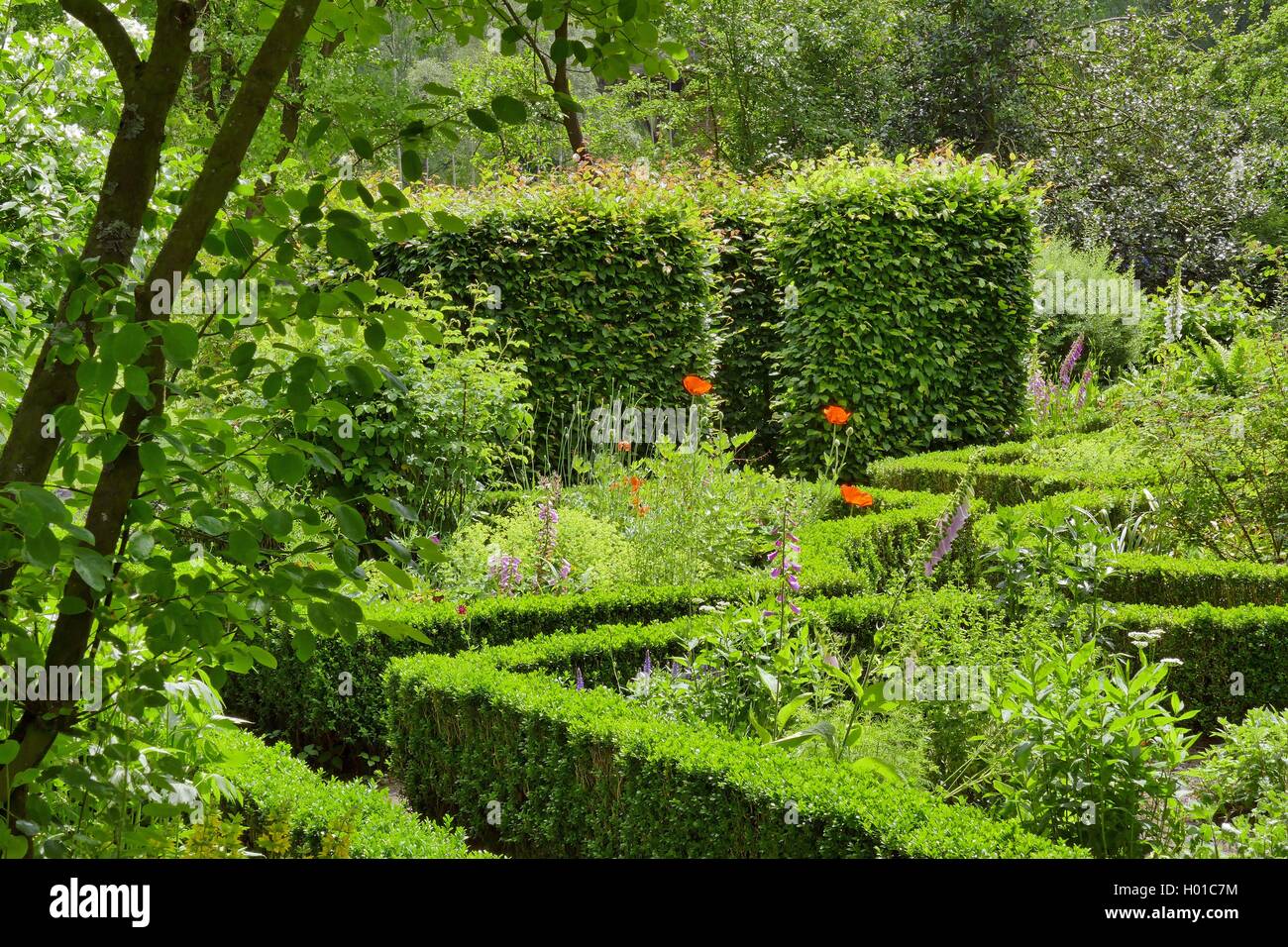 rural garden, Germany, Lower Saxony, Ammerland Stock Photo