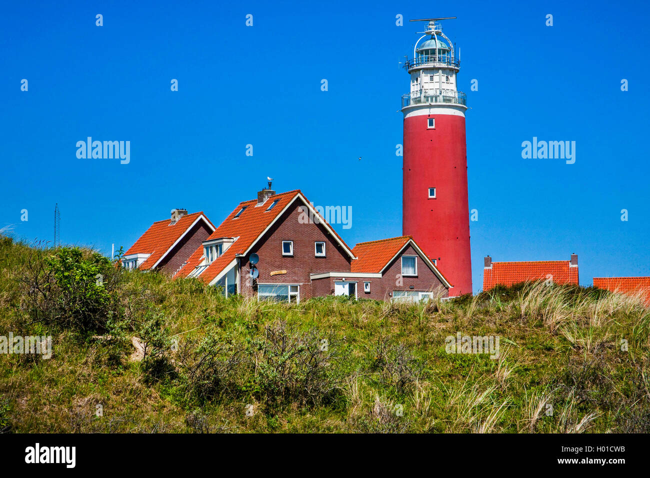 lighthouse of Texel, Netherlands, Texel Stock Photo