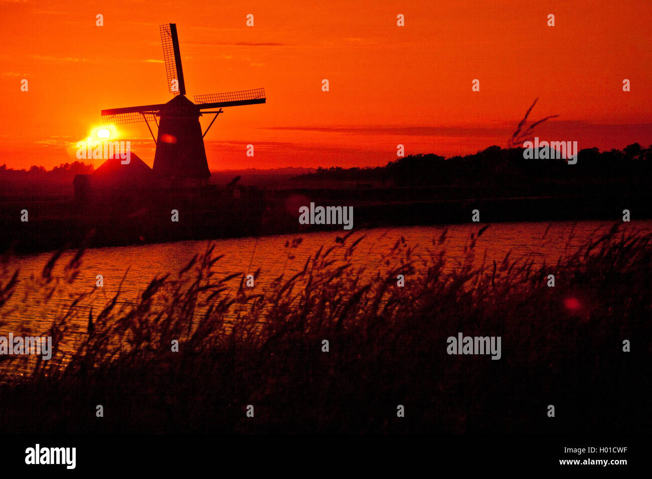 Windmuehle Het Noorden bei Sonnenuntergang, Niederlande, Texel | windmill Het Noorden at sunset, Netherlands, Texel | BLWS433391 Stock Photo