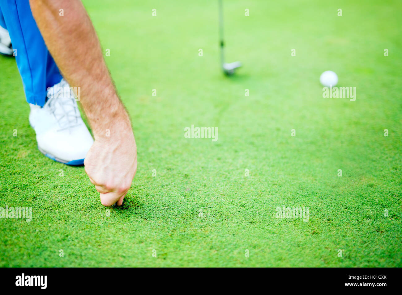 Golf player repairing divot on a green grass surface Stock Photo