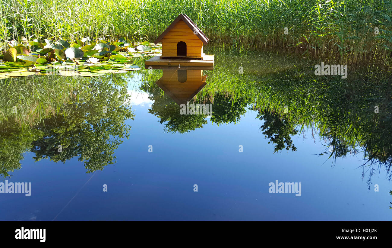 swimming duck house on a pond Stock Photo