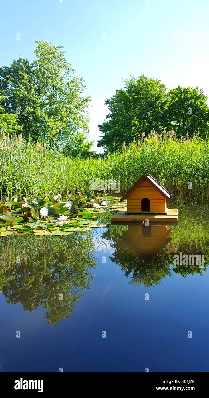swimming duck house on a pond Stock Photo