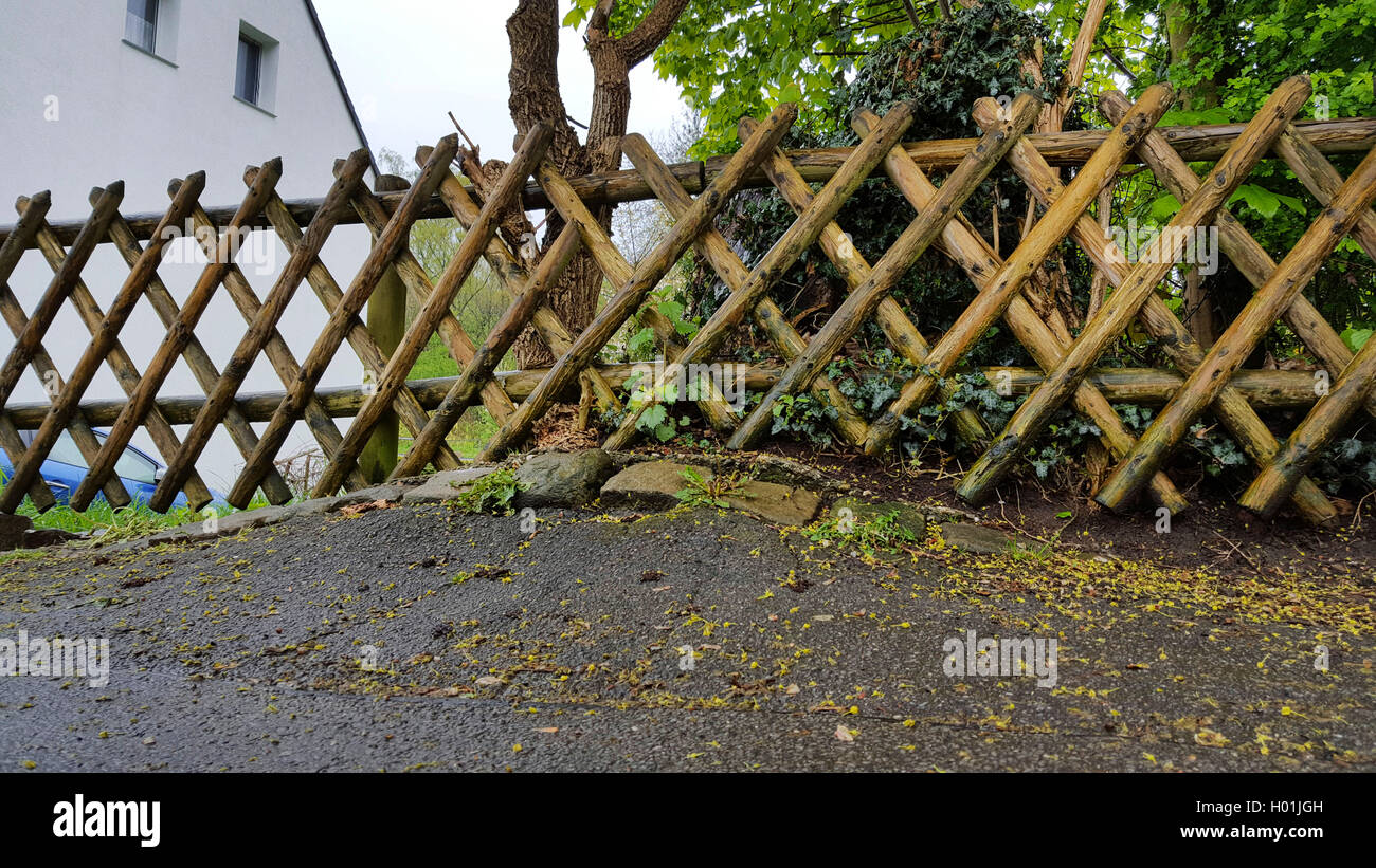 Jaegerzaun und Asphaltschaeden durch Baumwurzeln, Deutschland | rustic fence and damaged sidewalk caused by tree roots, Germany  Stock Photo