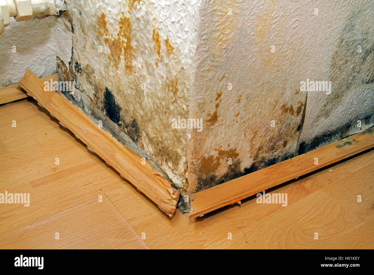 water damage in a home because of a leaky dormer, formation of mould
