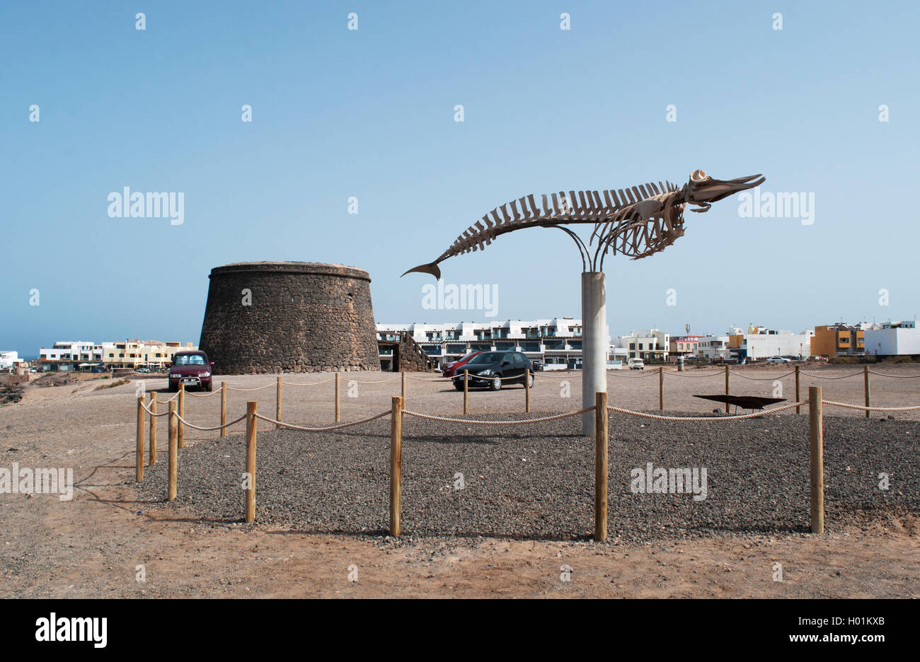 El Cotillo, Fuerteventura, Canary Islands, North Africa: a whale skeleton with El Toston Castle , a watchtower built for defense in the 18th century Stock Photo