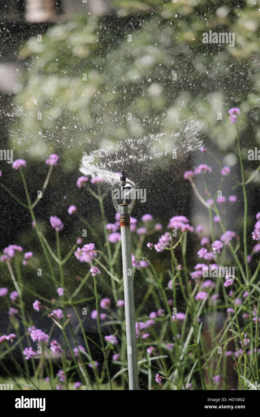 Garden sprinkler, irrigation, London park, summertime, hose, water mist