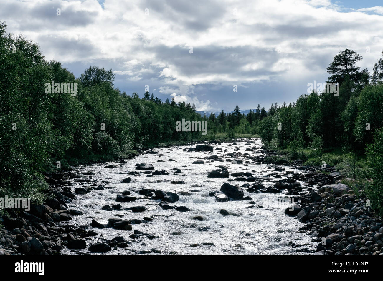 A stream in remote part of Oppland, Norway Stock Photo