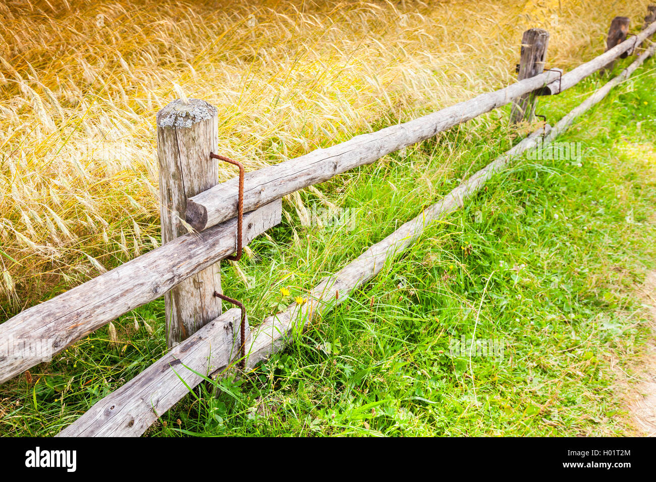 Rural wooden fence along field of rye in summer season Stock Photo - Alamy