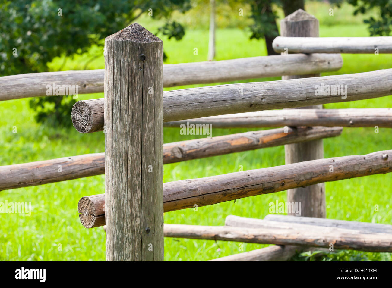 Rural wooden fence with green summer grass on a background Stock Photo ...