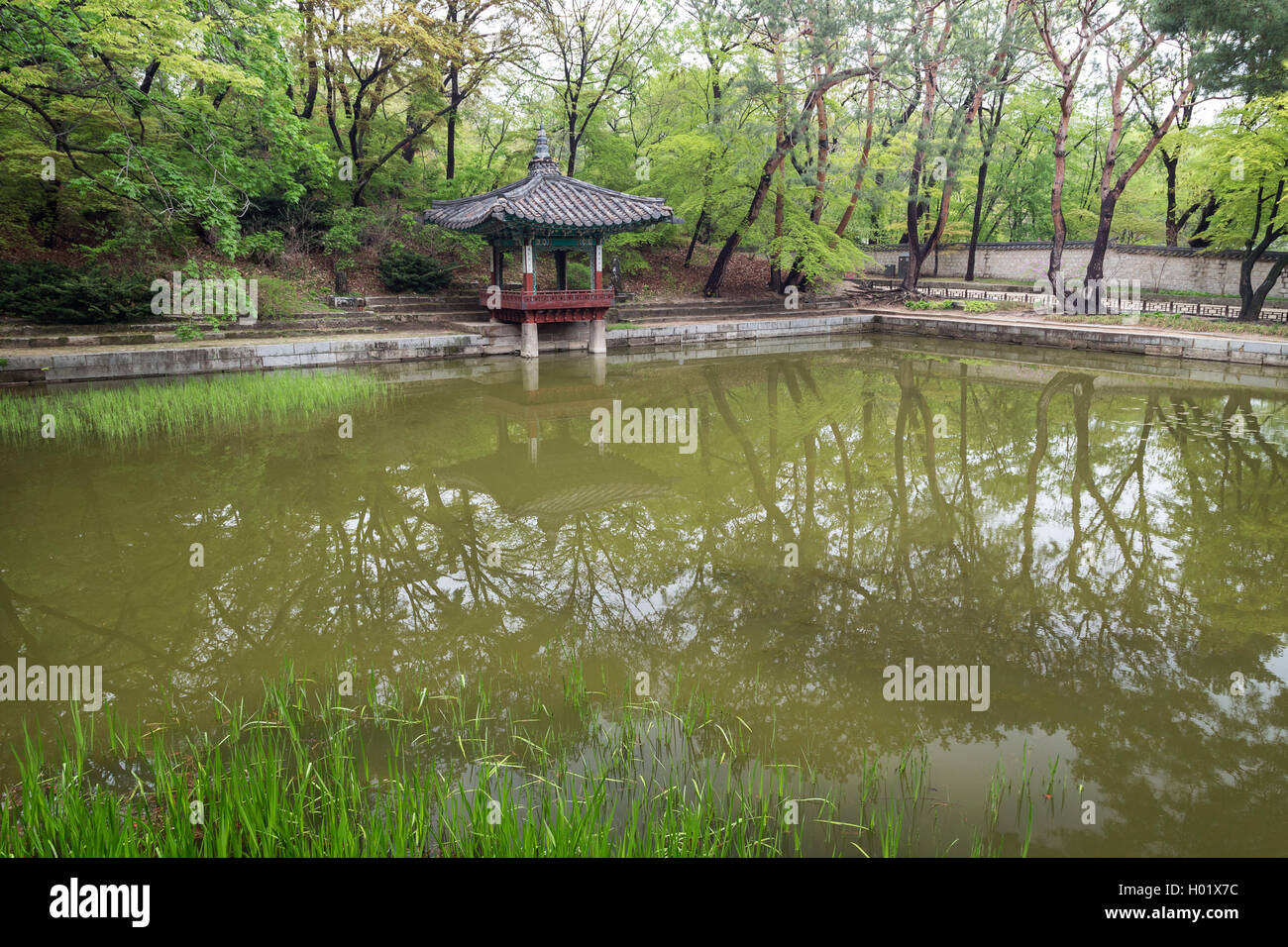 Aeryeonji Pond at Huwon (Secret Garden) at the Changdeokgung Palace in Seoul, South Korea. Stock Photo