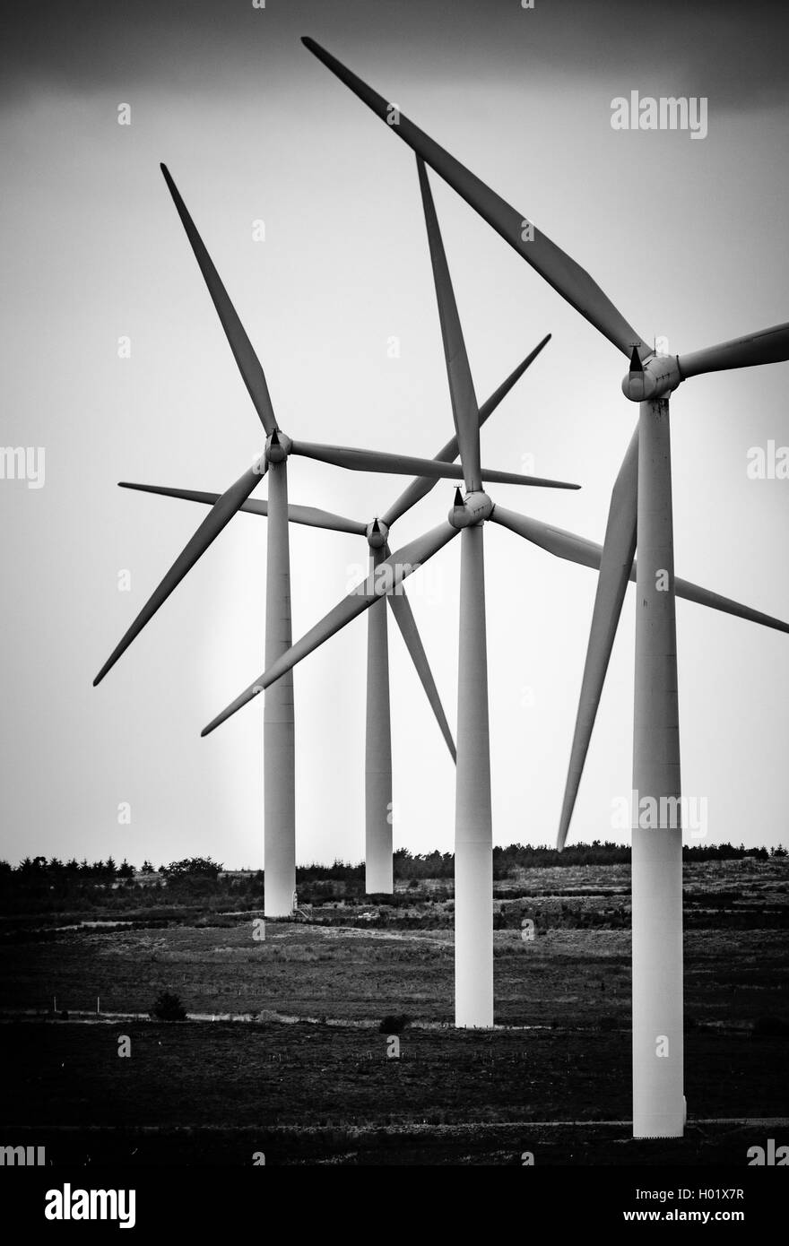 Black Law Wind Farm, South Lanarkshire, Scotland Stock Photo Alamy