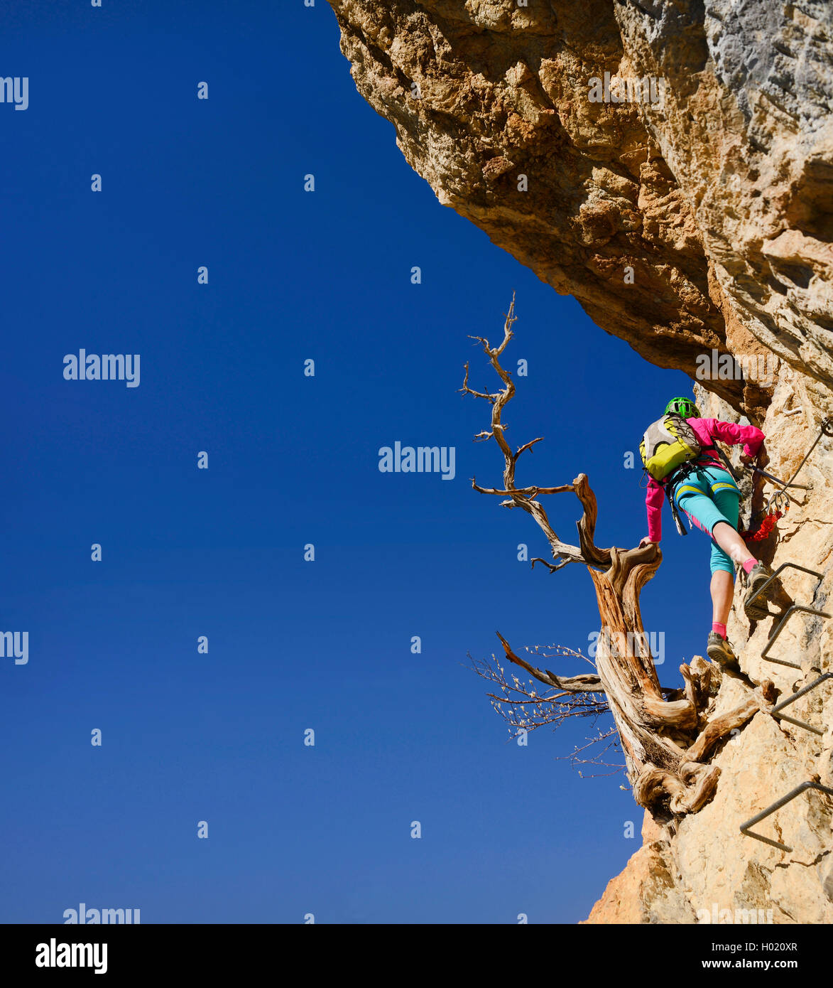 female climber at dead tree at cliff of via ferrata de la Grande Fistoire, France, Caire, Sisteron Stock Photo