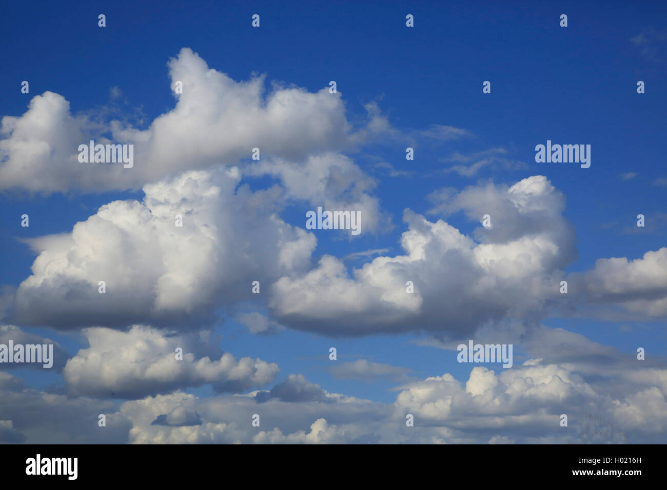 Cumulus clouds, Germany Stock Photo