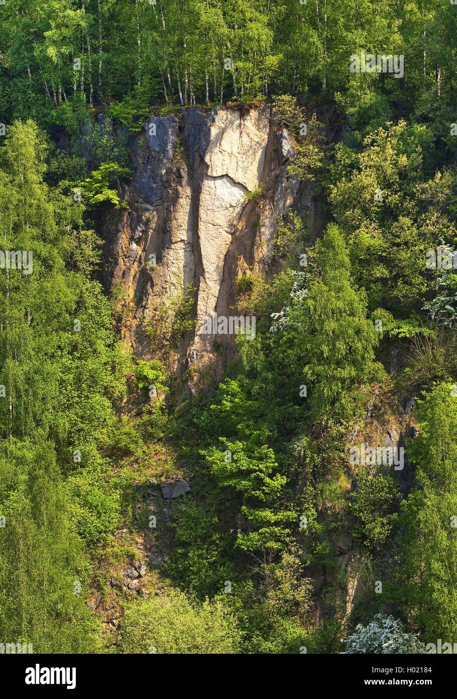 rock formation of former limestone quarry Bochumer Bruch, Germany, North Rhine-Westphalia, Bergisches Land, Wuelfrath Stock Photo