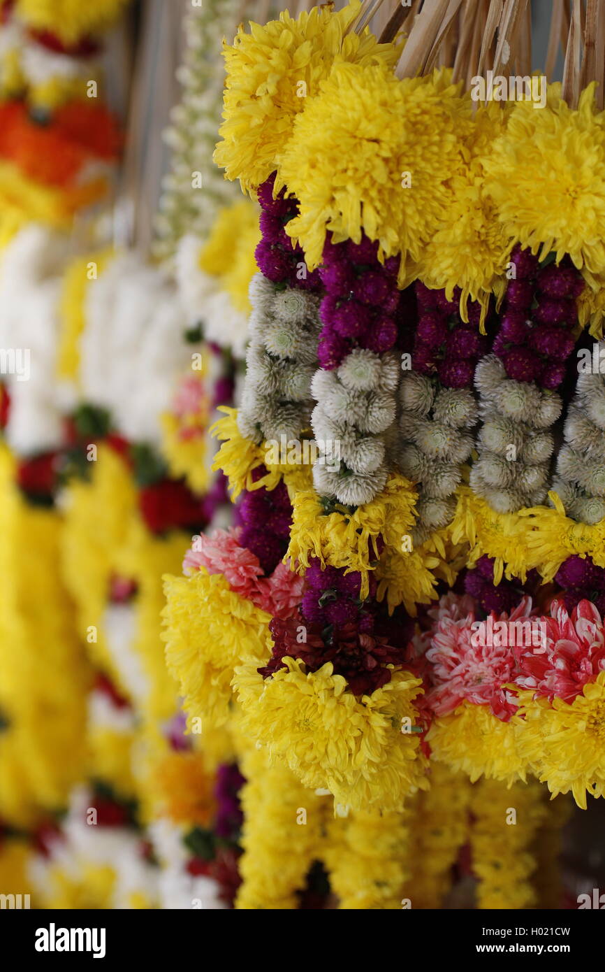 Indian flower garlands Stock Photo Alamy