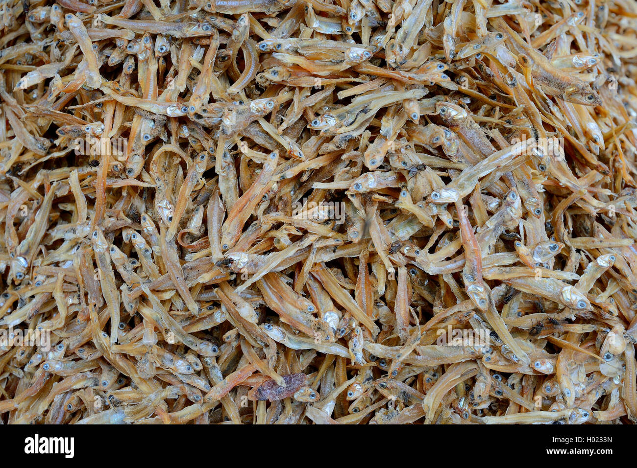 dried fishes at a market in Seririt, Indonesia, Bali Stock Photo