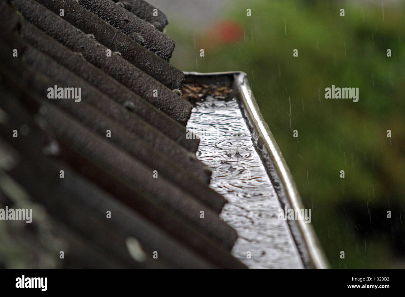 blocked roof gutter at heavy rainfall, Germany Stock Photo