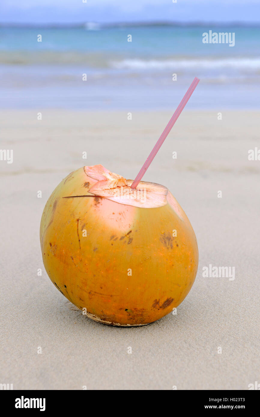 fresh coconut with drinking straw on the beach, Ecuador, Galapagos Islands Stock Photo