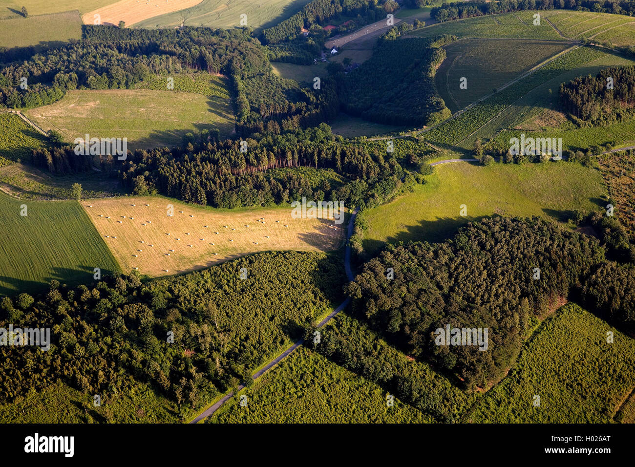 aerial view of hilly field and forest landscape in summer, Germany, North Rhine-Westphalia, Sauerland, Eslohe Stock Photo
