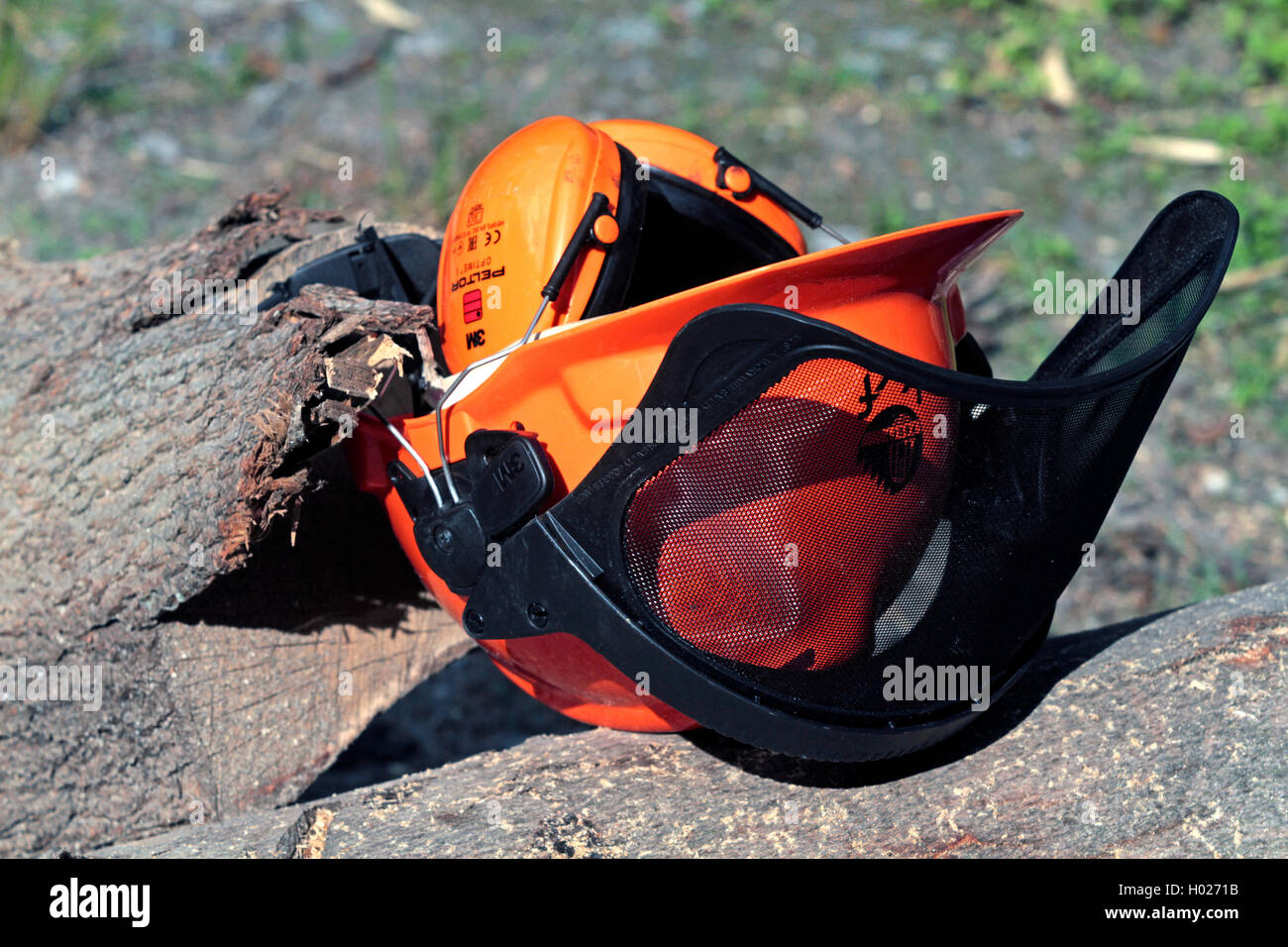 helmet of a lumberman, Germany Stock Photo