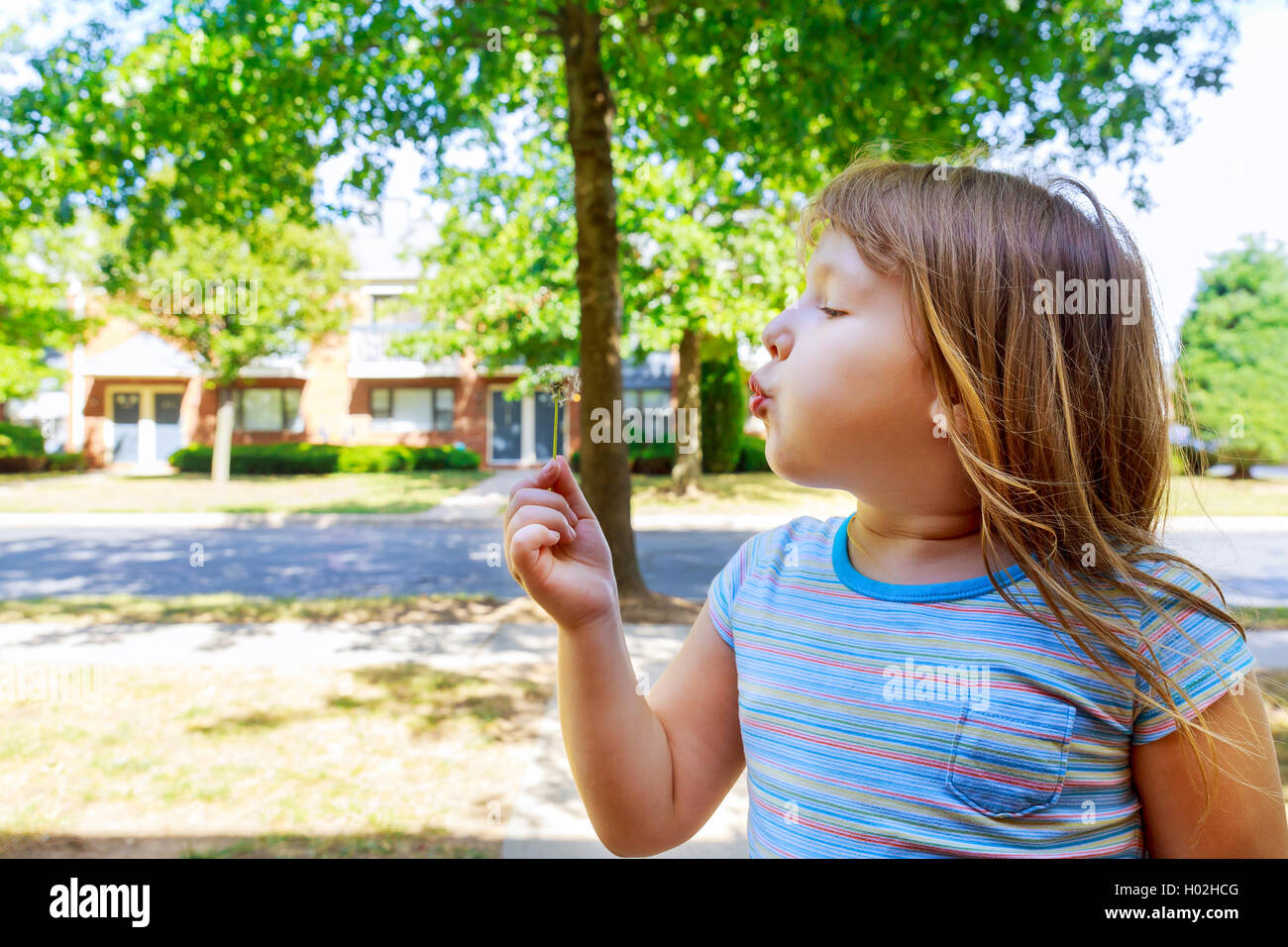 Cute blond little girl blowing a dandelion Stock Photo