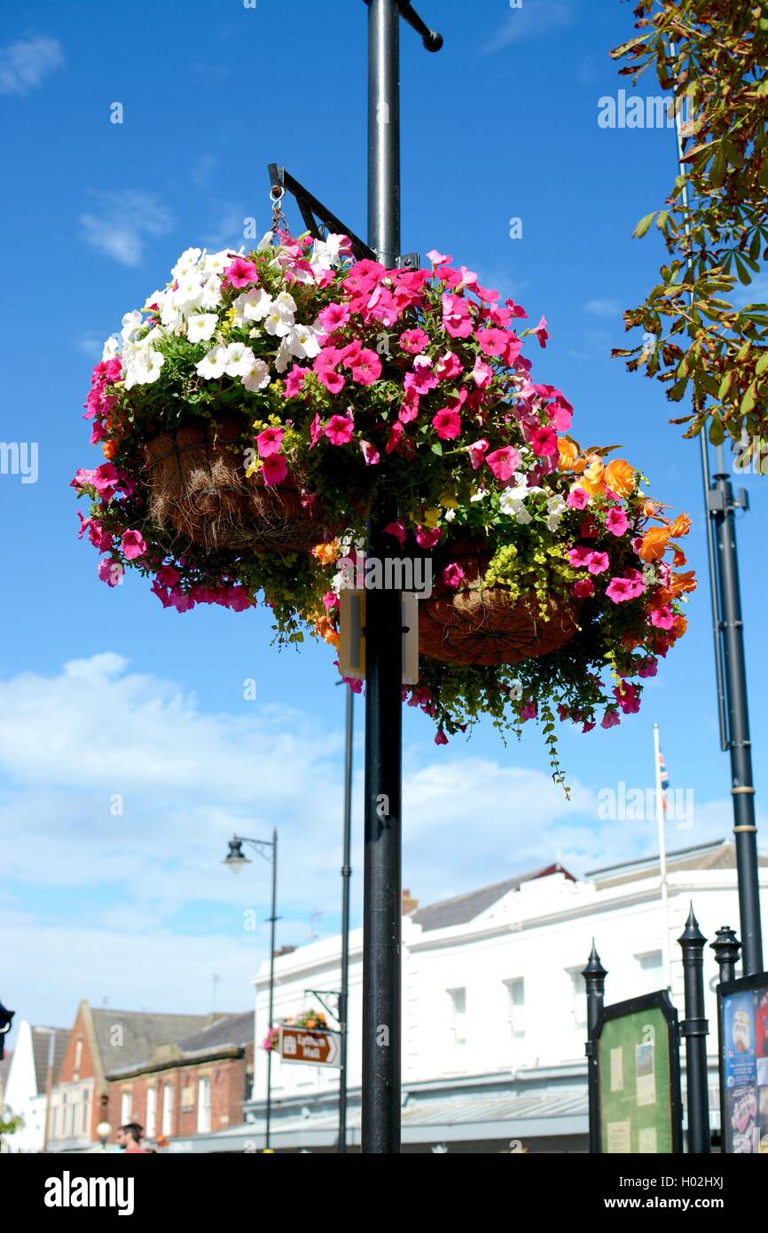 Lamp post hanging basket uk hires stock photography and images Alamy