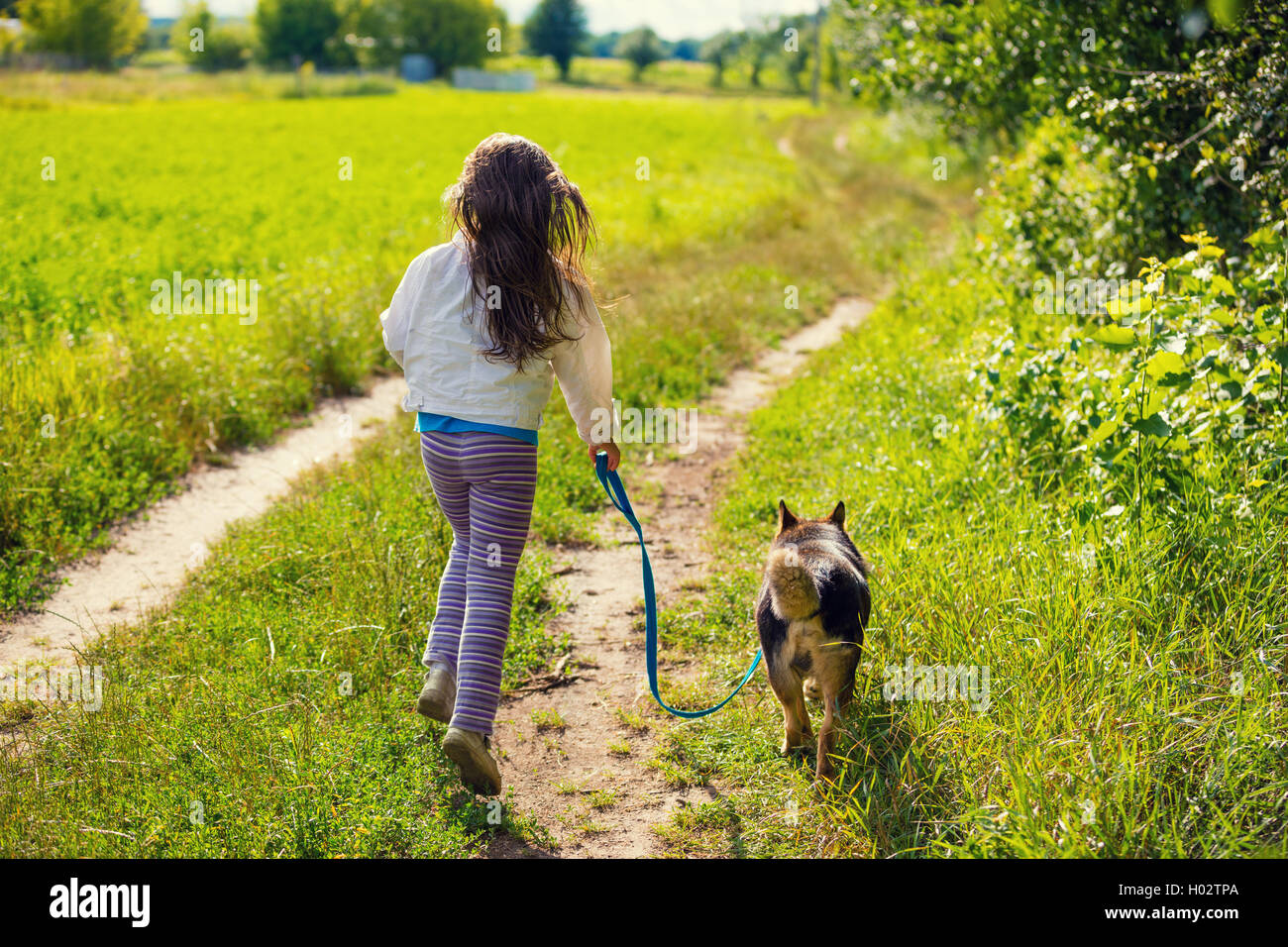 Можно просто гулять. Прогулка с собакой. Прогулка с собакой летом. Девочка на прогулке. Утренняя прогулка с собакой.
