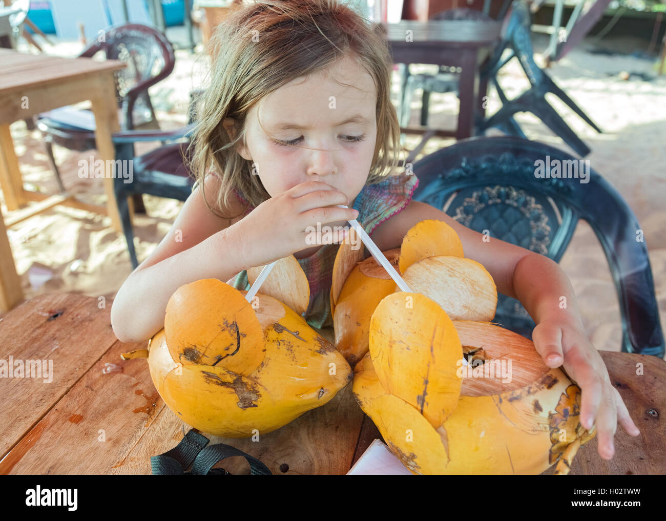 Child drinking coconut sri lanka hires stock photography and images