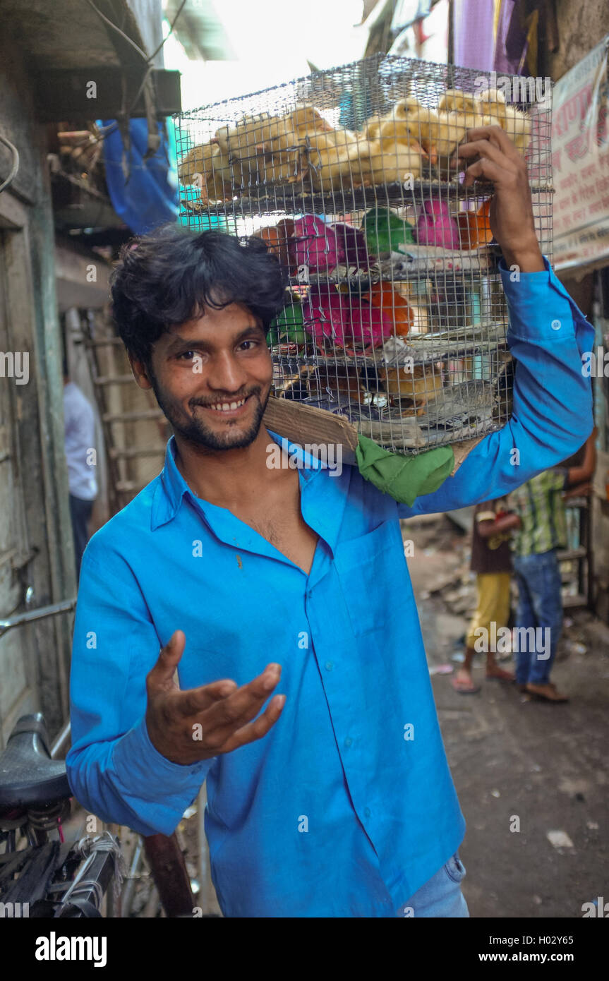 MUMBAI, INDIA - 10 JANUARY 2015: Indian worker carrying cage full of young poultry. Stock Photo