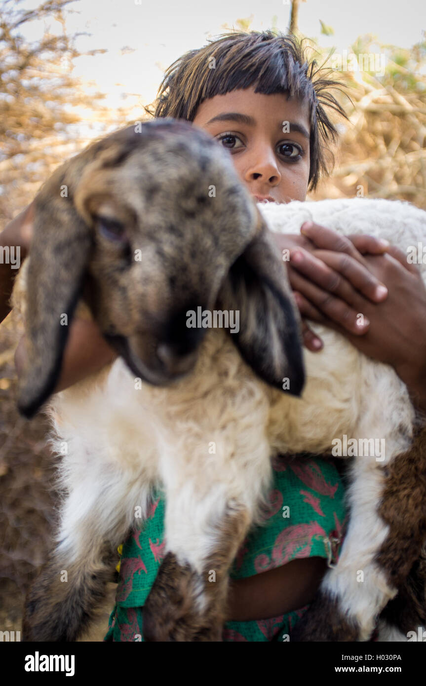 GODWAR REGION, INDIA - 13 FEBRUARY 2015: little Rabari girl in stable with small lamb. Rabari or Rewari are an Indian community  Stock Photo