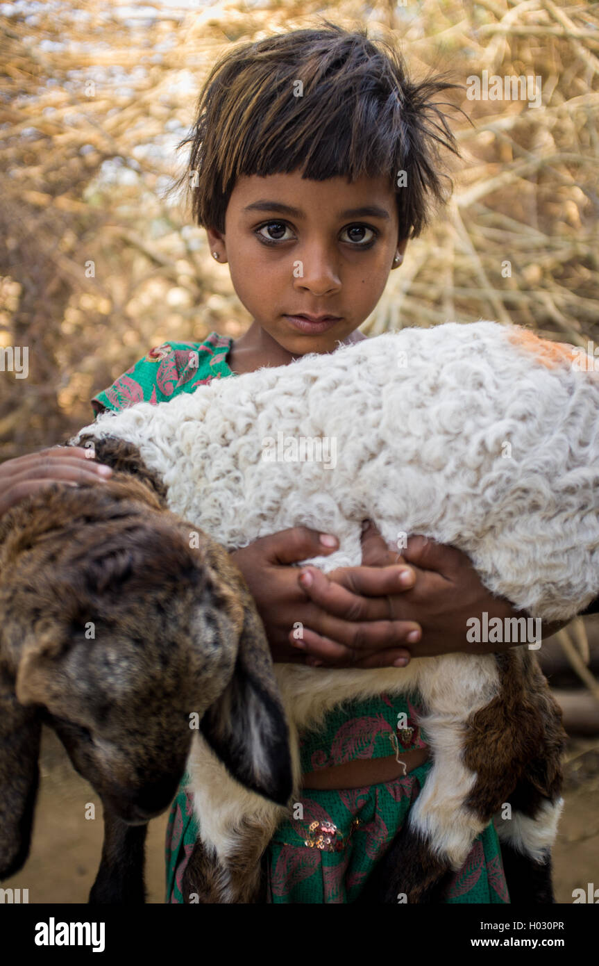 GODWAR REGION, INDIA - 13 FEBRUARY 2015: little Rabari girl in stable with small lamb. Rabari or Rewari are an Indian community  Stock Photo