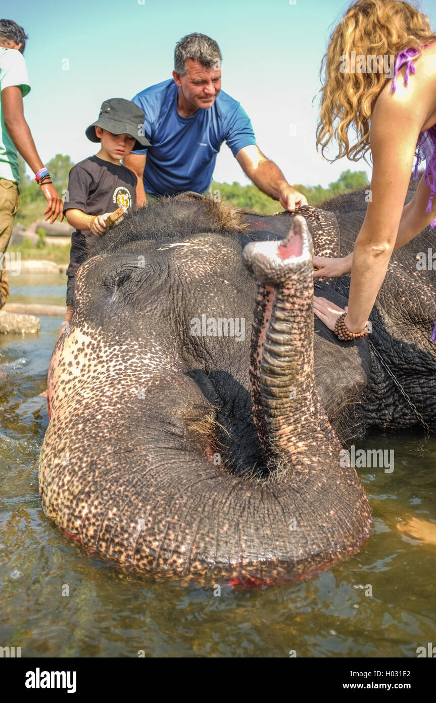 HAMPI, INDIA - 28 JANUARY 2015: Morning ritual of bathing Lakshmi the temple elephant of Virupaksha Temple with tourists Stock Photo
