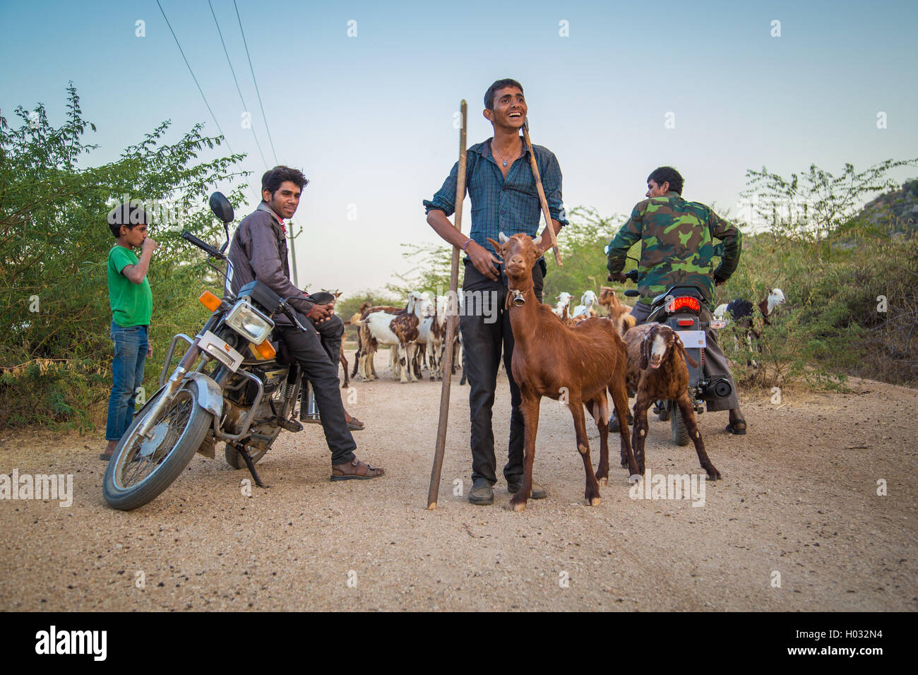 Goat Riding A Motorcycle