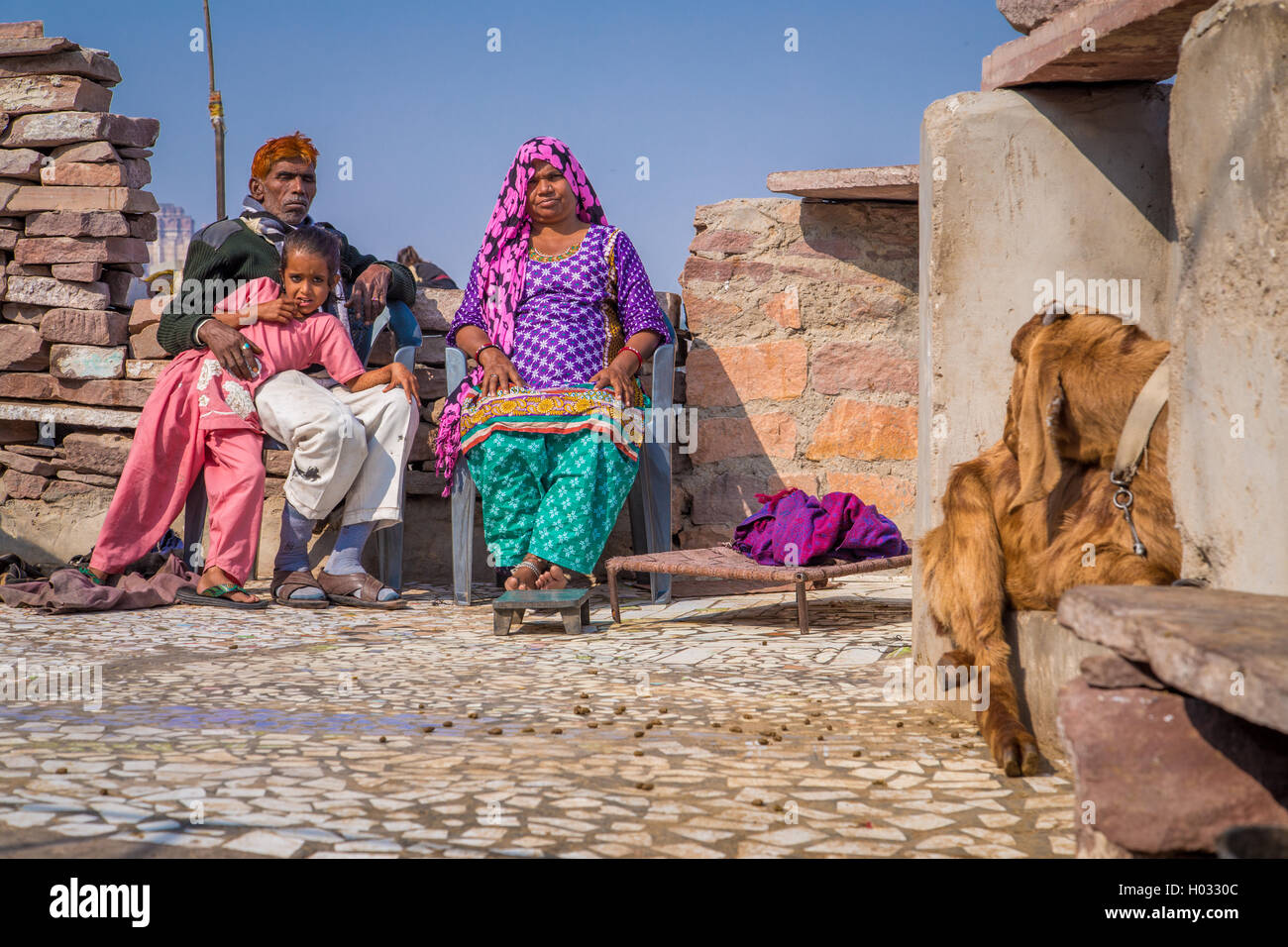 JODHPUR, INDIA - 09 FEBRUARY 2015: Grandparents rest with granddaughter on roof terrace of home with goat sitting close by. Stock Photo