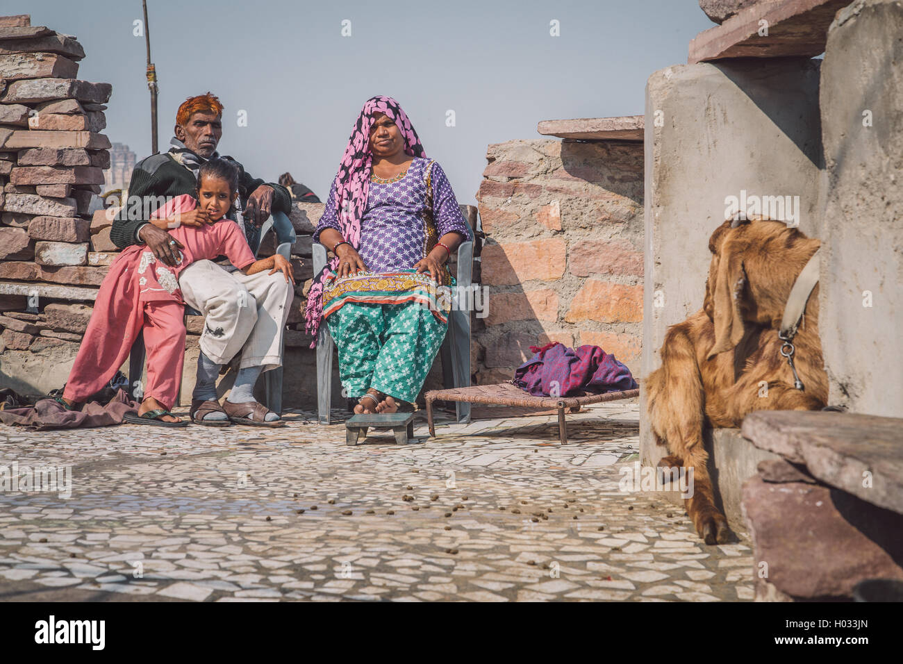 JODHPUR, INDIA - 09 FEBRUARY 2015: Grandparents rest with granddaughter in courtyard of home with goat sitting close by. Post-pr Stock Photo