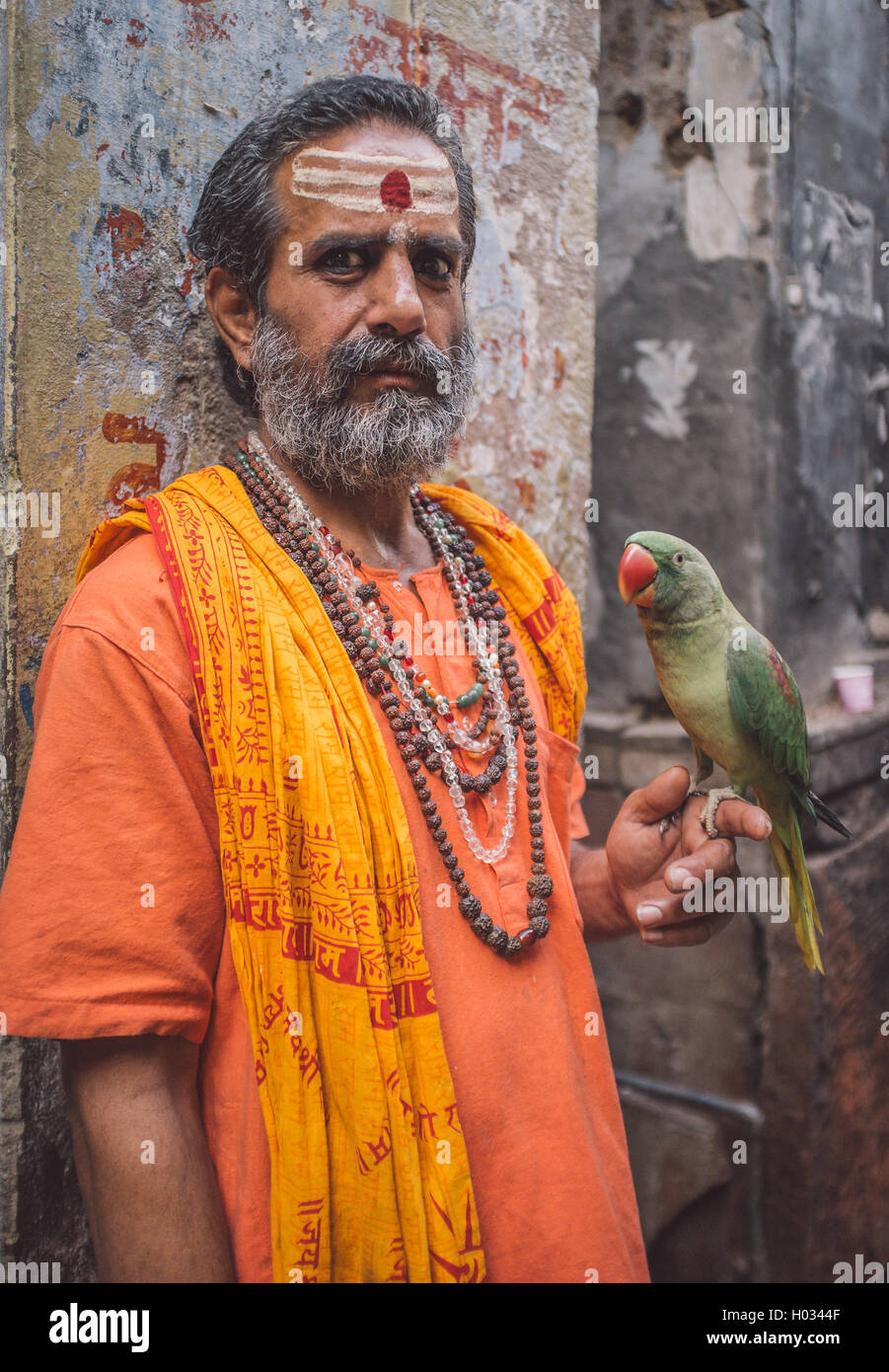 VARANASI, INDIA - 25 FEBRUARY 2015: Indian man pretending to be a sadhu holds parrot in street. Post-processed with grain, textu Stock Photo
