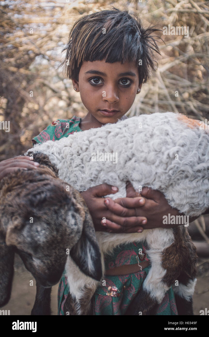 GODWAR REGION, INDIA - 13 FEBRUARY 2015: Two little Rabari girls in stable with small lamb. Post-processed with grain, texture a Stock Photo