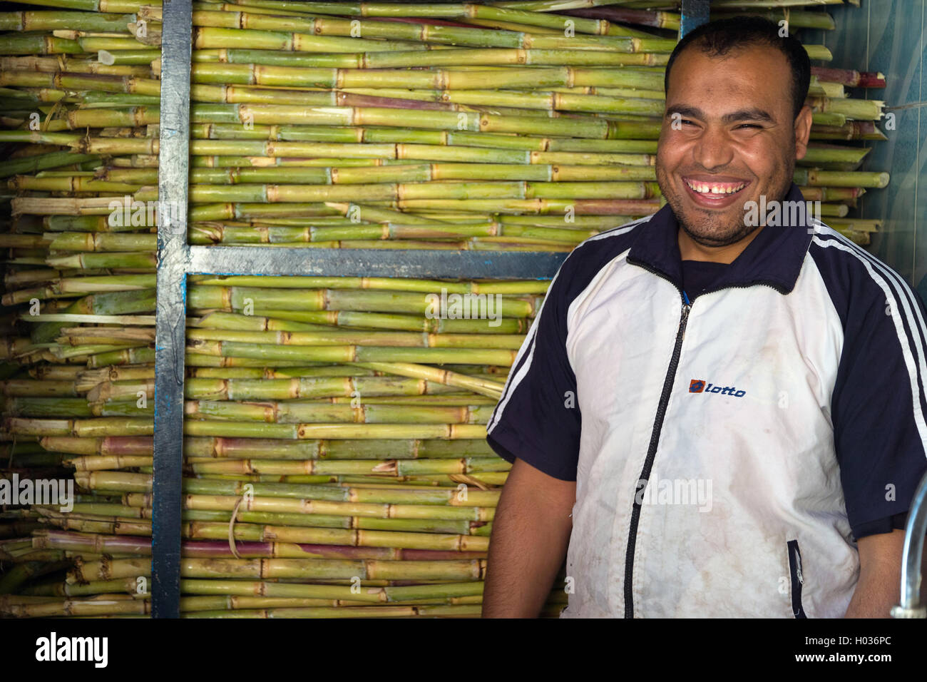 Sugar cane shop aswan hires stock photography and images Alamy